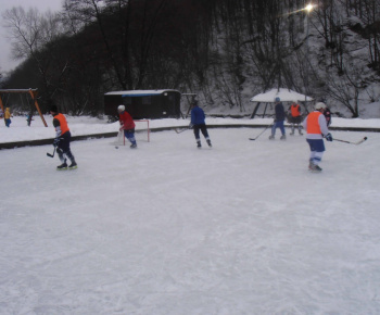 Hokejový turnaj 2011