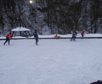 Hokejový turnaj 2011